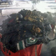 Illustration for article titled Minnesota "Wild Fire" Pun Used in Headline